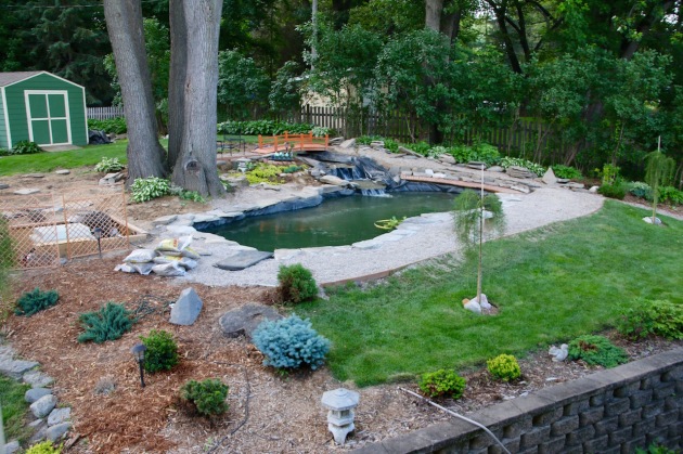 June 14 - near side of pond edging completed 
